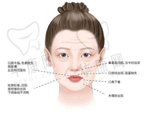 徐佳明医生预约方式