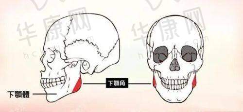 烟台壹美天成医疗美容医院陈山伟医生资质信息