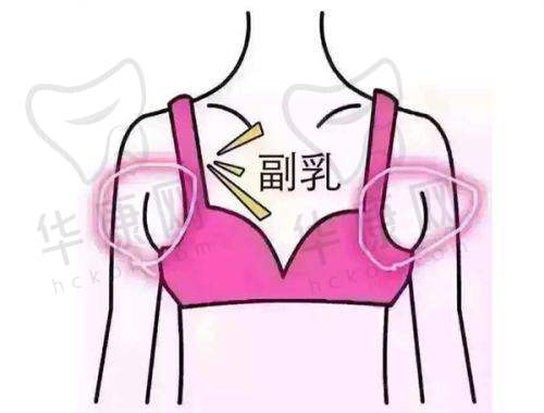 烟台壹美天成医疗美容医院杨文敬擅长项目