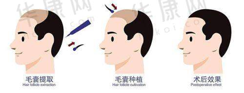 黑龙江瑞丽医疗美容的技术实力