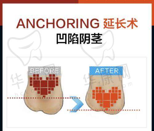 穆大力在哪几家医院挂职呢？