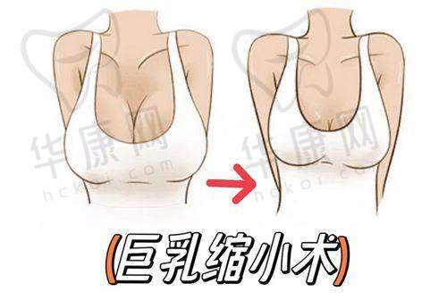 无锡丽都整形医院的医生团队