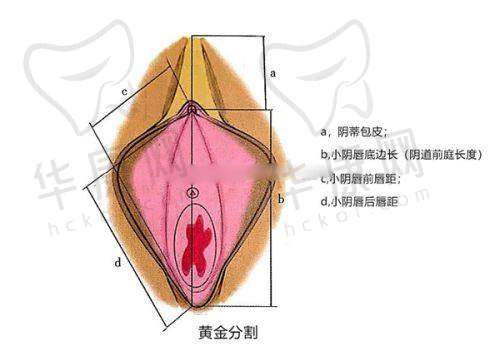 深圳素仁医疗美容江环环私密收紧的预约方式