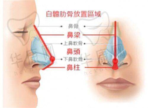 成都锦江美蒂菲医疗美容门诊部基本资料