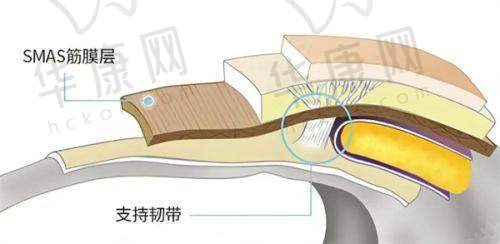 身边人的反馈