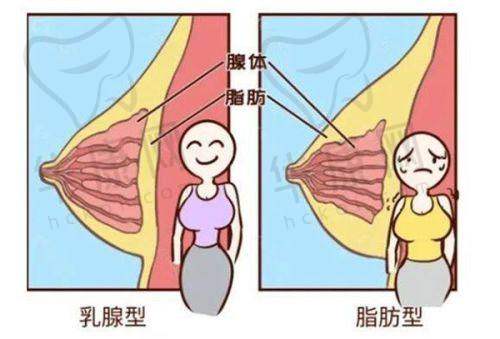 个性化定制，王志坚医生怎样满足不同求美者需求？