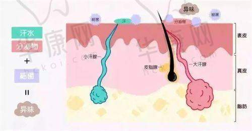 中期修复的惊喜