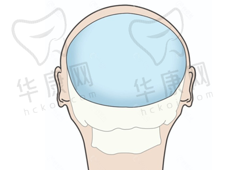 2025年张海明坐诊时间表是怎样的？