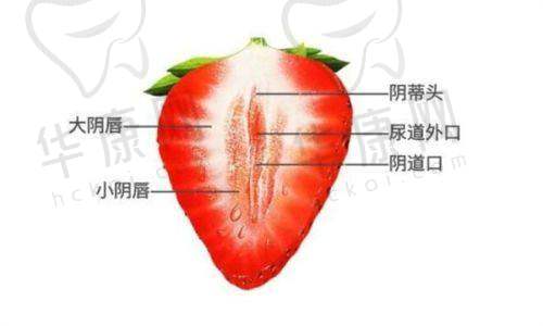 东莞东城紫芯医疗美容袁道红线提升的成效与保护