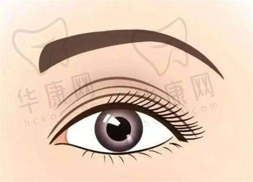 杨中凯医生眼部整形的丰富经验与多样术式
