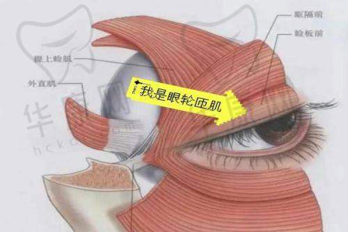 合肥壹加壹美容医院的正规性与实力