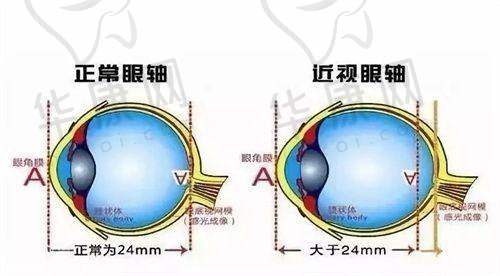 四、张家口朝聚眼科医院地址电话：