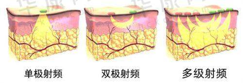 杨文敬医生资质信息