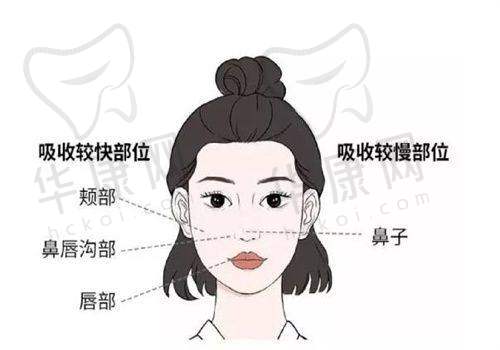 天津河西熙朵医疗美容朱秀红眉毛种植技术特色