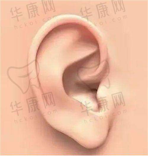 蒲小兵医生预约方式