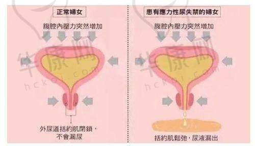 艺星整形美容医院各分院地址在哪里？