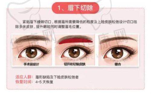 李红丽医生预约方式