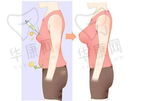 海口鹏爱医疗美容医院基本资料