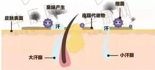 武汉壹加壹医疗美容医院王琼医生擅长项目