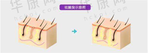 北京星洲医疗美容门诊部基本资料：